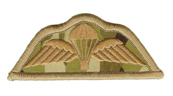 Bronze On MTP Para Wings