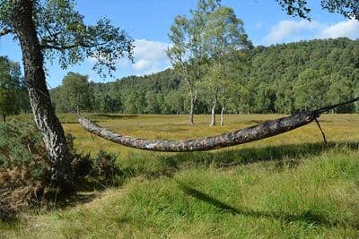 Dd Hammocks Sleeve Mc