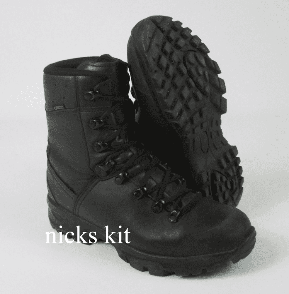 Lowa Boots