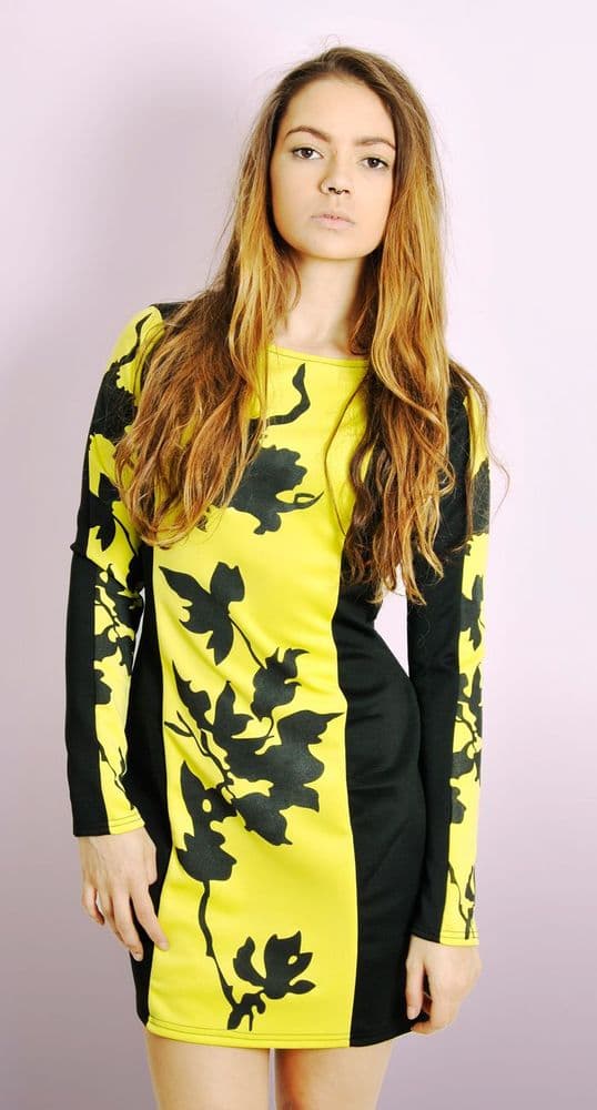 Long Sleeve Dress with Contrast Color Panels