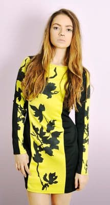 Long Sleeve Dress with Contrast Color Panels