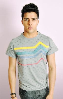 Stars and stripes slim fit t-shirt