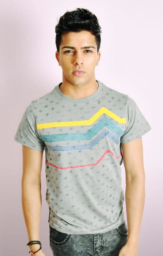 Stars and stripes slim fit t-shirt