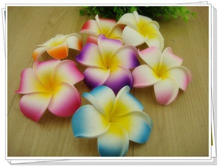 12-30 x tête de fleur frangipanier flottant * Kauai couleur mix