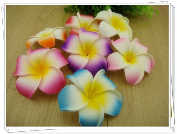 12-30 x tête de fleur frangipanier flottant * Kauai couleur mix