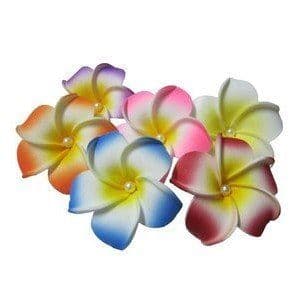 12-30 x tête de fleur frangipanier flottant * Kauai couleur mix + perle