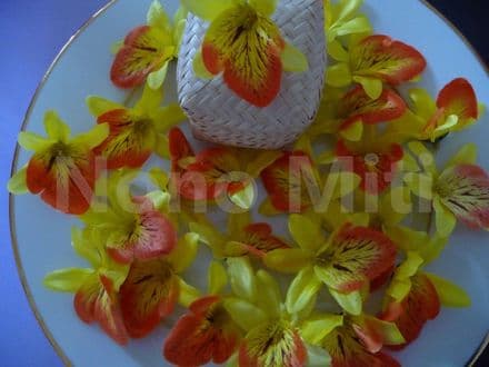 12 - 30 x Tête fleur mini orchidée * jaune orange