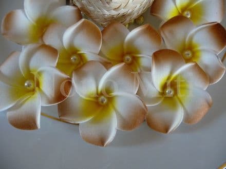 12-30 x  tête fleurs frangipanier + perle * 4cm marron