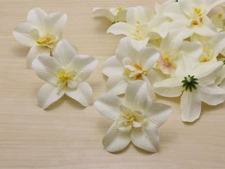12-30 x tête orchidée dendobrium * blanc