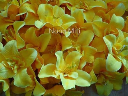 12-30 x tête orchidée dendobrium * jaune