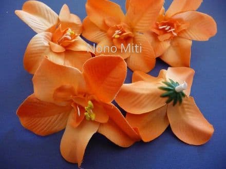 12-30 x tête orchidée dendobrium * orange