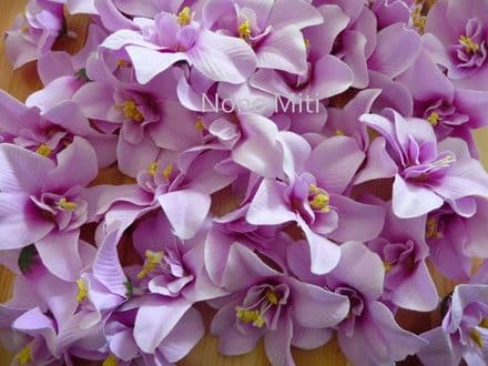 12-30 x tête orchidée dendobrium * parme