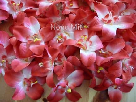 12-30 x tête orchidée dendobrium *rouge