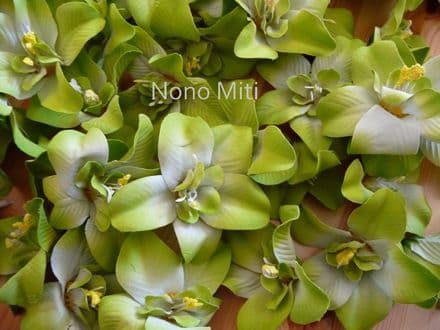 12-30 x tête orchidée dendobrium * vert