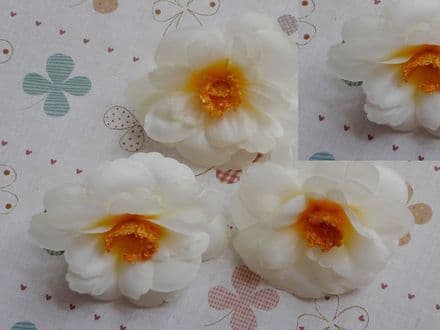 12 - 30 x têtes fleur de pêcher * blanc
