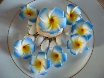 12-30 x têtes fleur frangipanier * 4cm *bleu