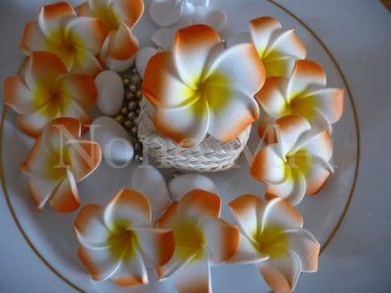 12-30 x têtes fleur frangipanier * 4cm * orange