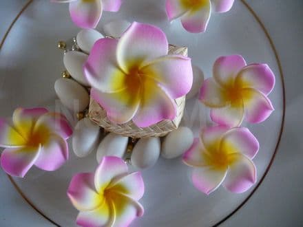 12-30 x têtes fleur frangipanier * 4cm * rose