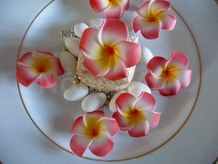 12-30 x têtes fleur frangipanier * 4cm * rouge