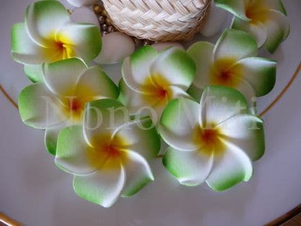 12-30 x têtes fleur frangipanier * 4cm * vert
