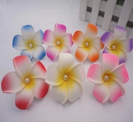 12-30 x  têtes fleur frangipanier * 6cm couleurs mixtes + perle au centre
