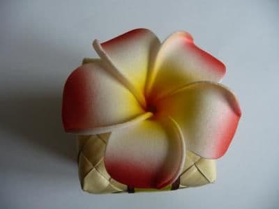 12-30 x têtes frangipanier dragée * 6cm rouge