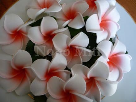 12- 30x tête fleur frangipanier * blanc centre rouge