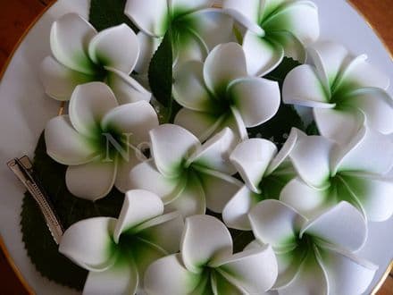 12- 30x tête fleur frangipanier * blanc centre vert 7cm