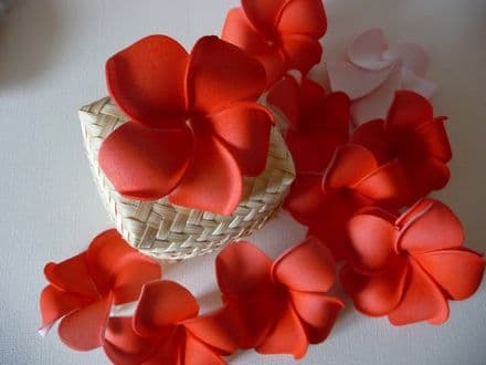12 têtes frangipanier dragée * 6cm just red