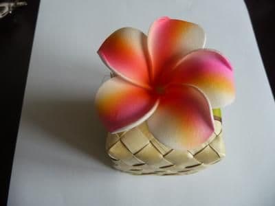 12 têtes frangipanier dragée * 6cm rainbow rose