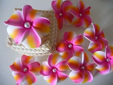 12 têtes frangipanier dragée * 6cm rainbow  rose + perle au centre