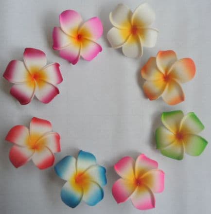 12  x  têtes fleur frangipanier * 6cm couleurs mixtes