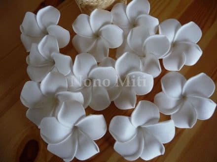 12  x  têtes frangipanier dragée * 6cm blanc neige