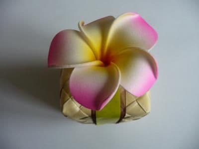 12 x têtes frangipanier dragée * 6cm rose