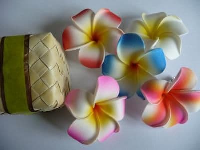30 têtes fleur frangipanier * 6cm rouge
