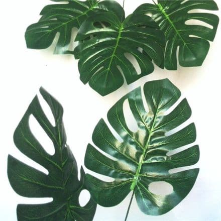 48 x feuilles monstera