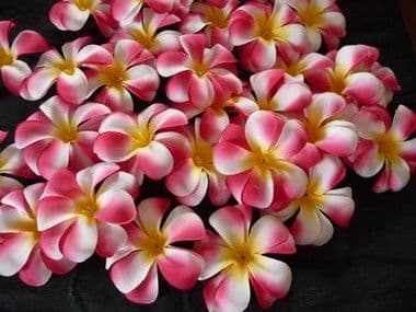 Lot de 30 fleurs de frangipanier tissus rbj