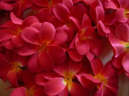 Lot de 30 fleurs de frangipanier tissus rouge coeur jaune