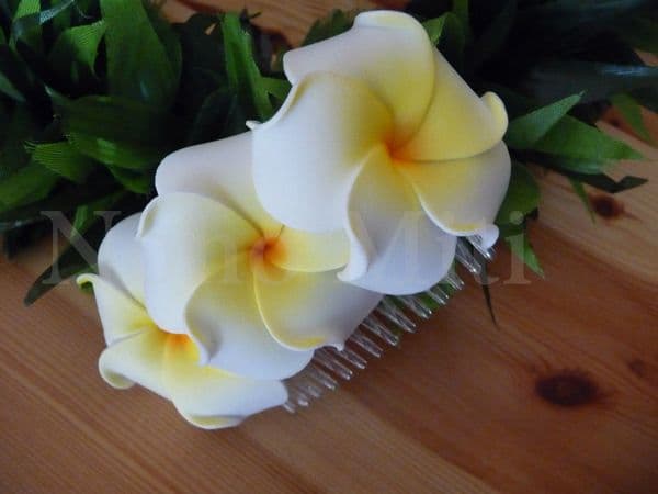 Peigne trio fleur frangipanier