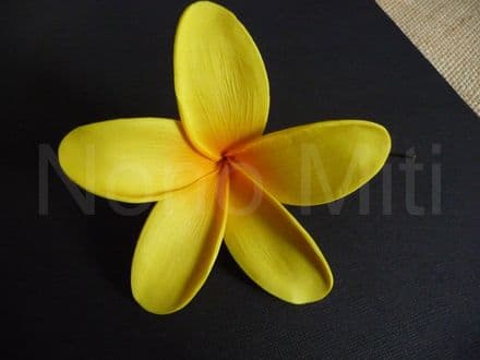 Pic/pince fleur frangipanier 10cm 