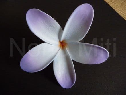 Pic/pince fleur frangipanier 10cm 