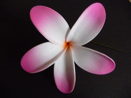 Pic/pince fleur frangipanier 10cm 
