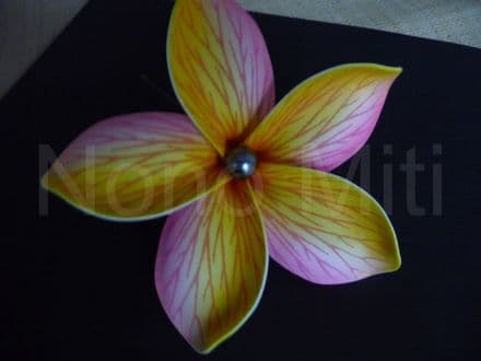 Pic/pince fleur frangipanier 