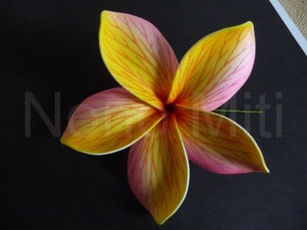 Pic/pince fleur frangipanier 