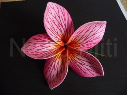 Pic/pince fleur frangipanier 