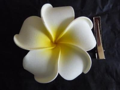 Pince cheveux frangipanier * Kauai blanc