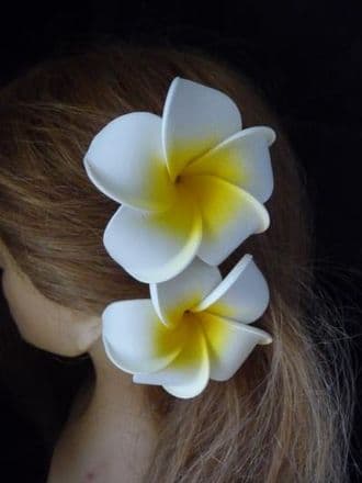 Pince cheveux frangipanier * Kauai duo blanc