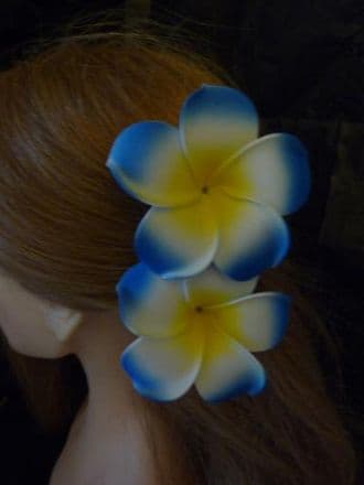 Pince cheveux frangipanier * Kauai duo bleu