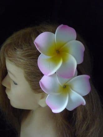 Pince cheveux frangipanier * Kauai duo rose