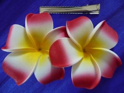 Pince cheveux frangipanier * Kauai duo rouge